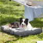 Hundebett