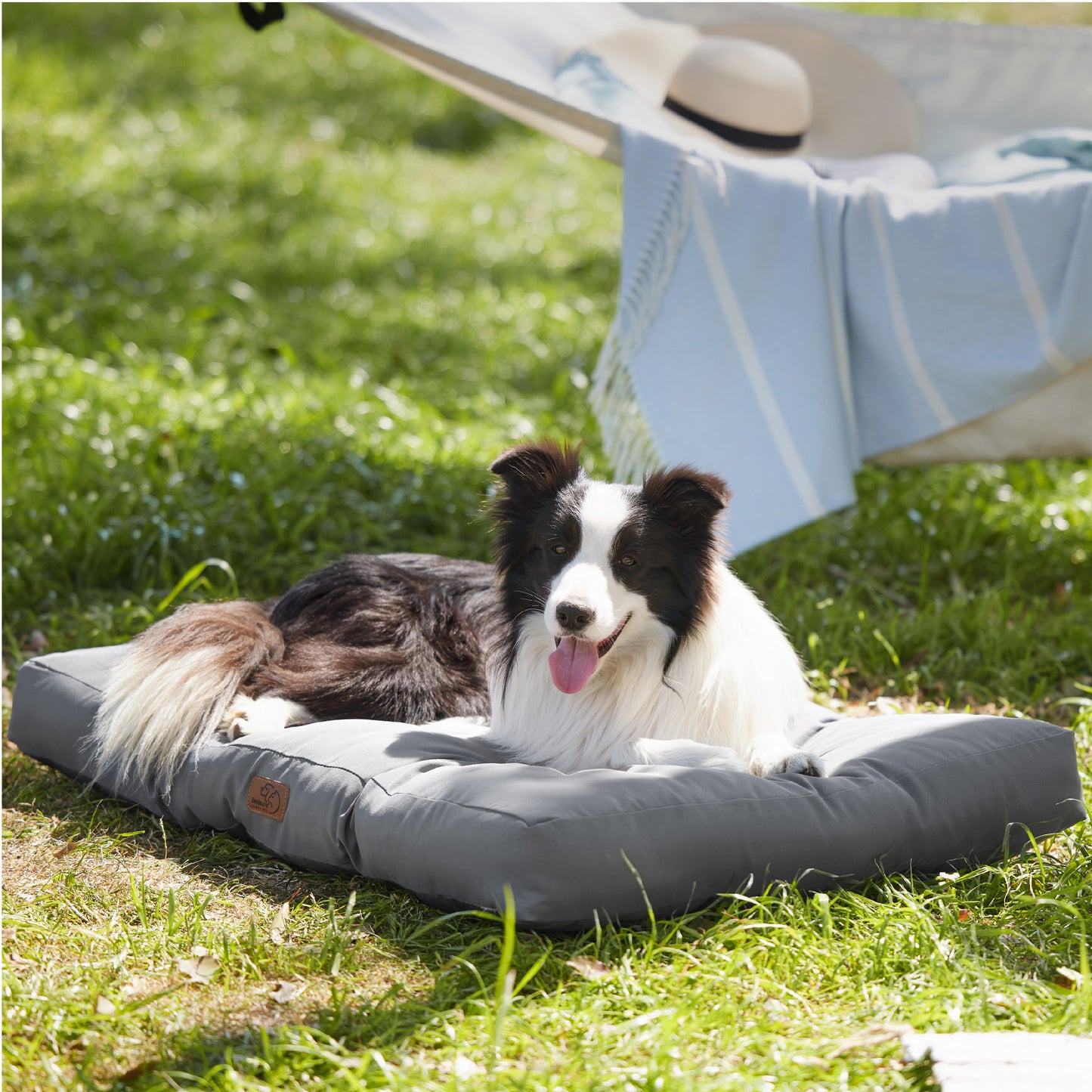 Hundebett