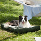 Hundebett