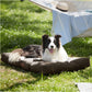 Hundebett