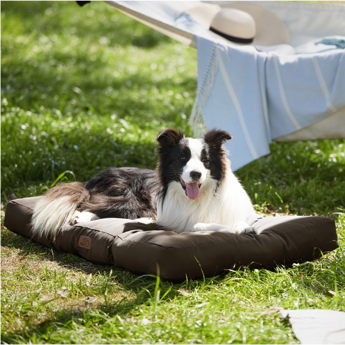 Hundebett