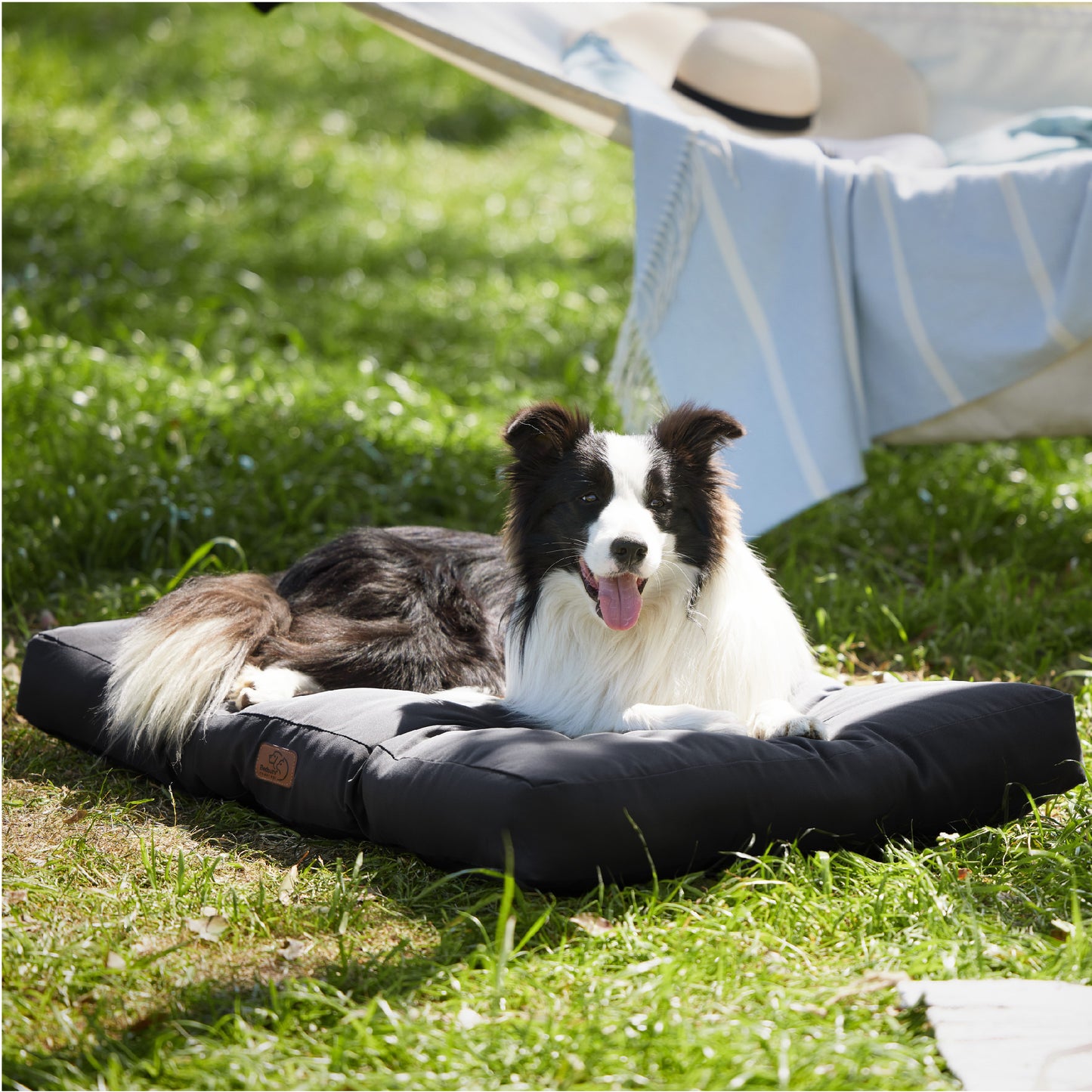 Hundebett