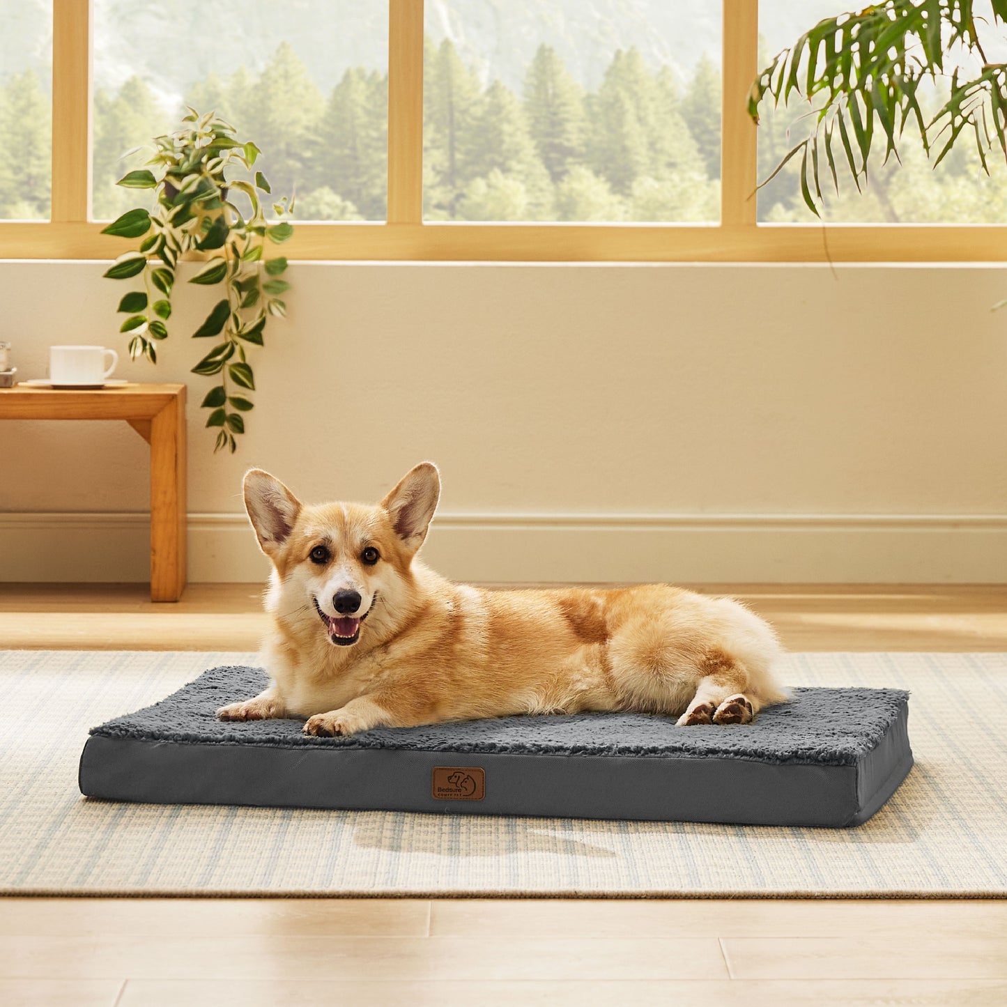 Orthopädisches Hundebett kleine Hunde