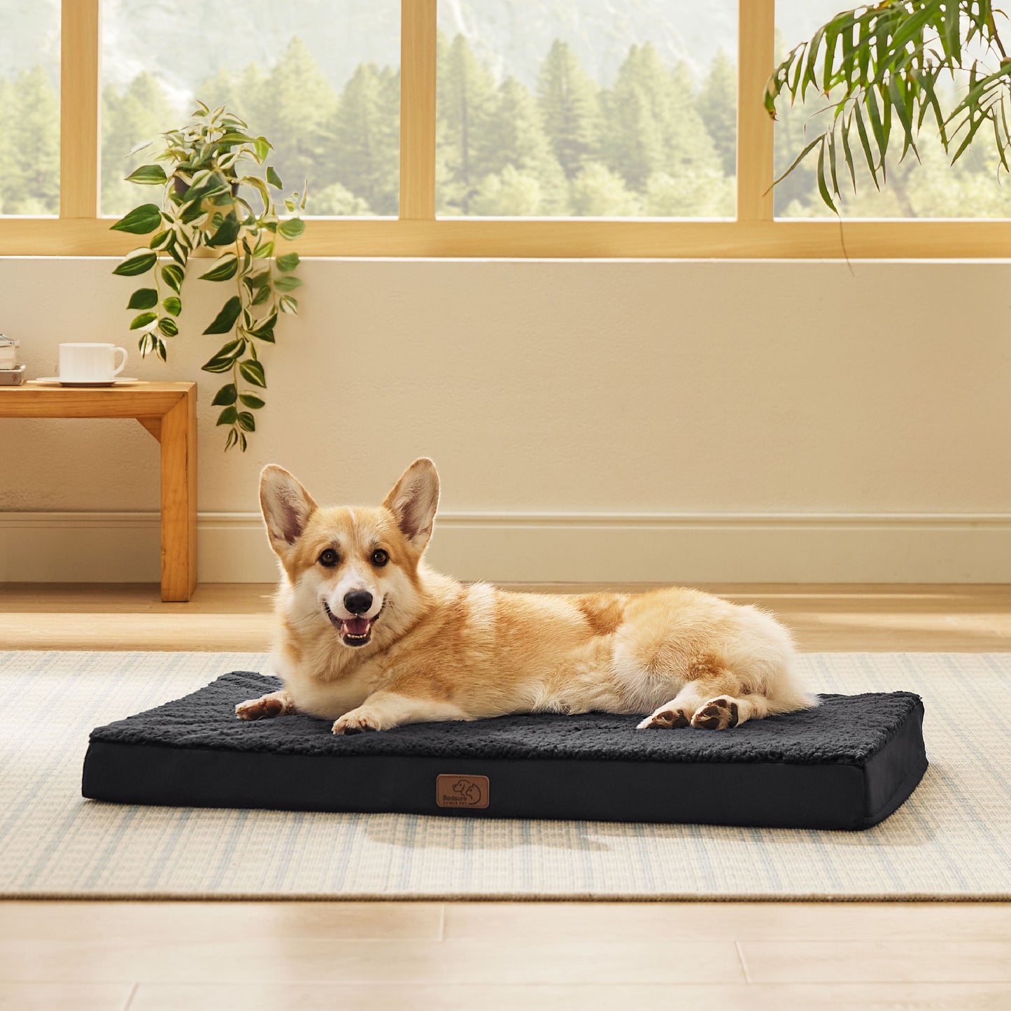 Orthopädisches Hundebett kleine Hunde