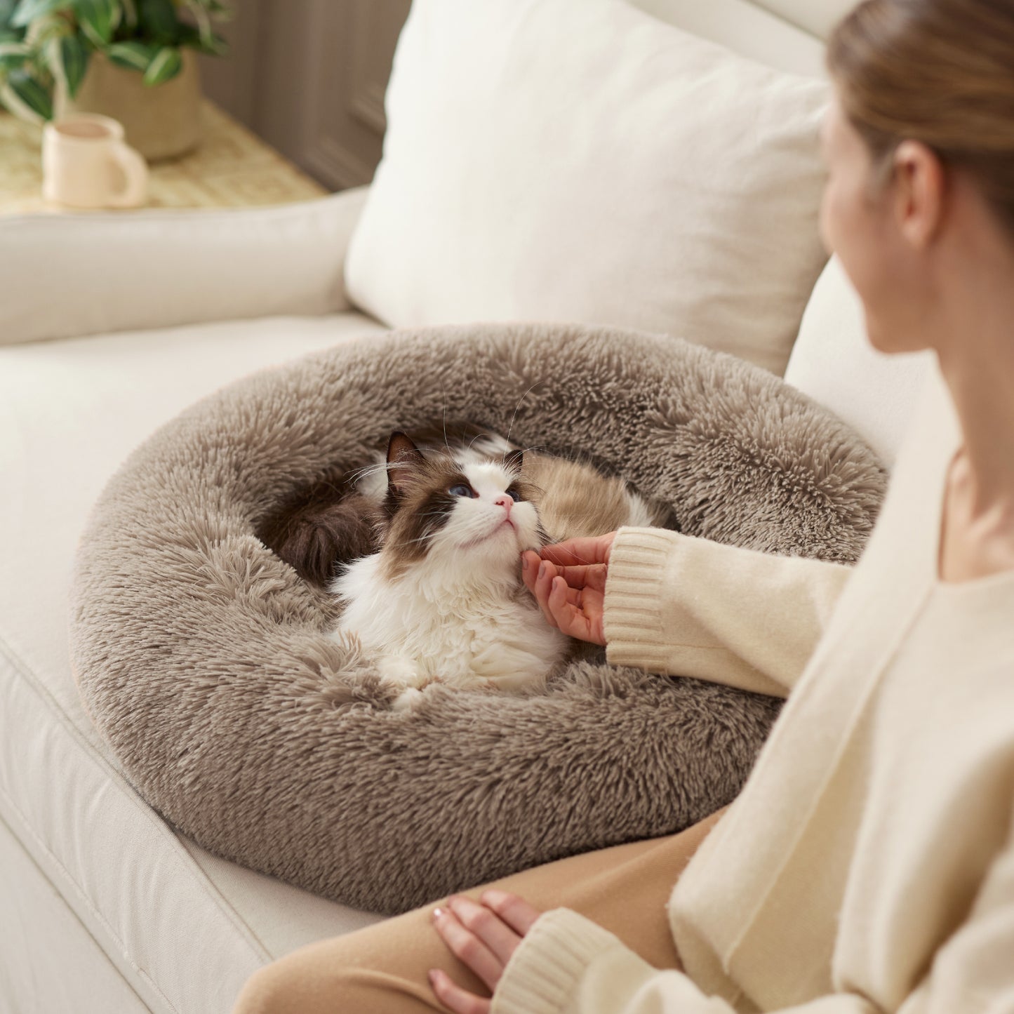 Katzenbett - Solid PV Fleece