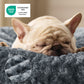 Bequeme Hundebett