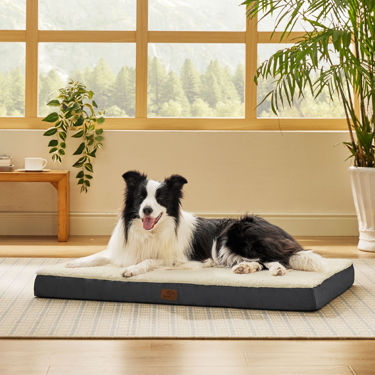 Orthopädisches Hundebett kleine Hunde
