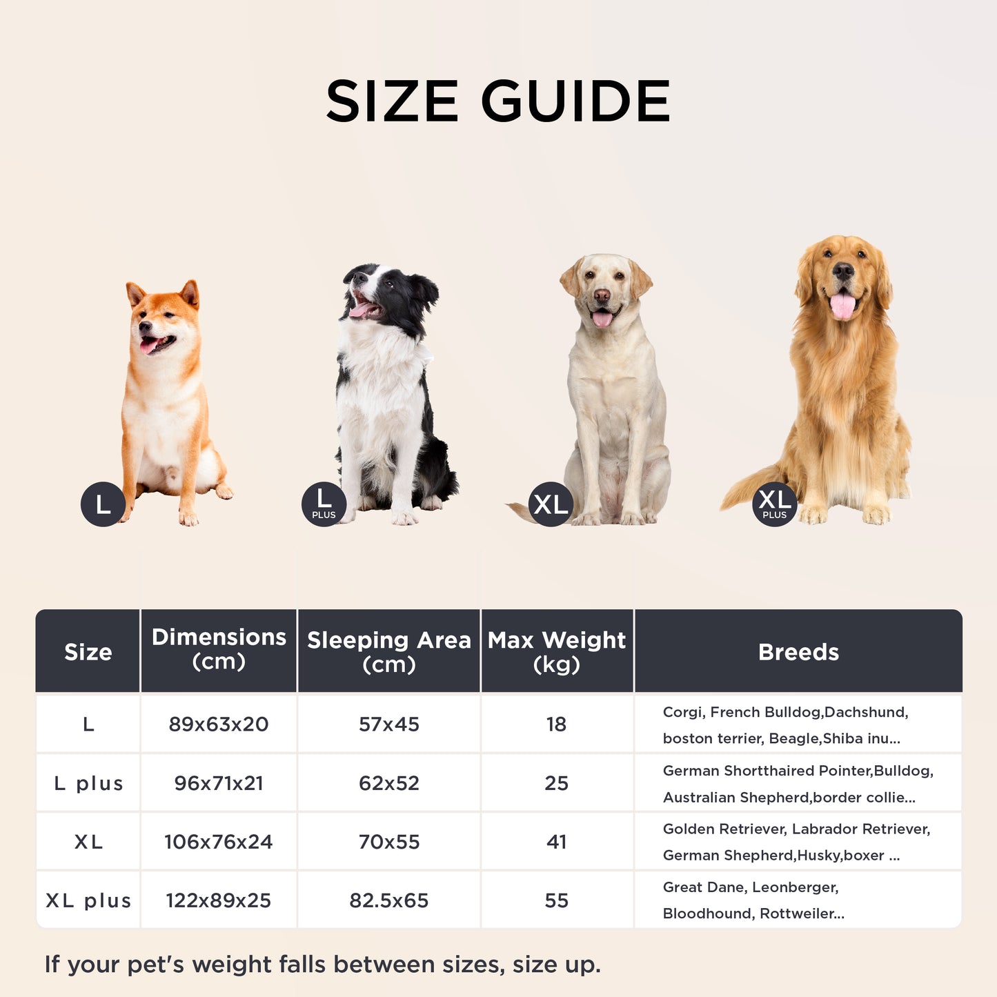 Stützende Hundecouch