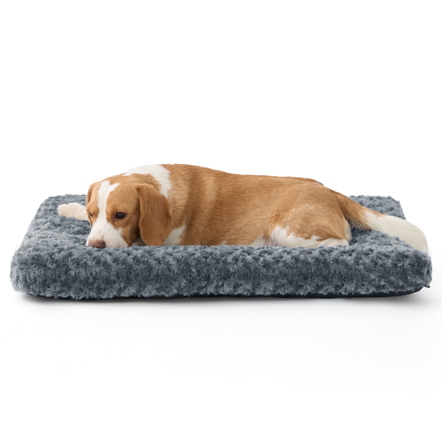 Bequeme Hundebett