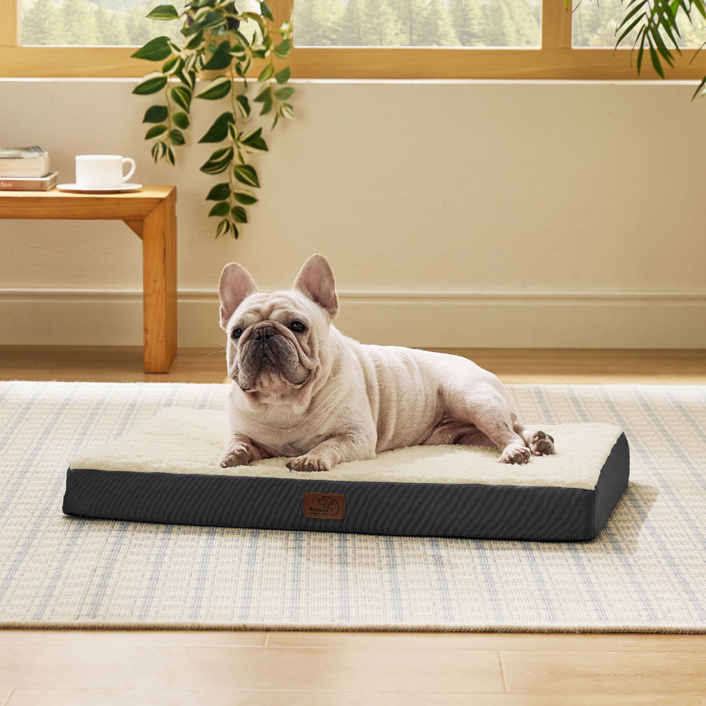 Orthopädisches Hundebett kleine Hunde
