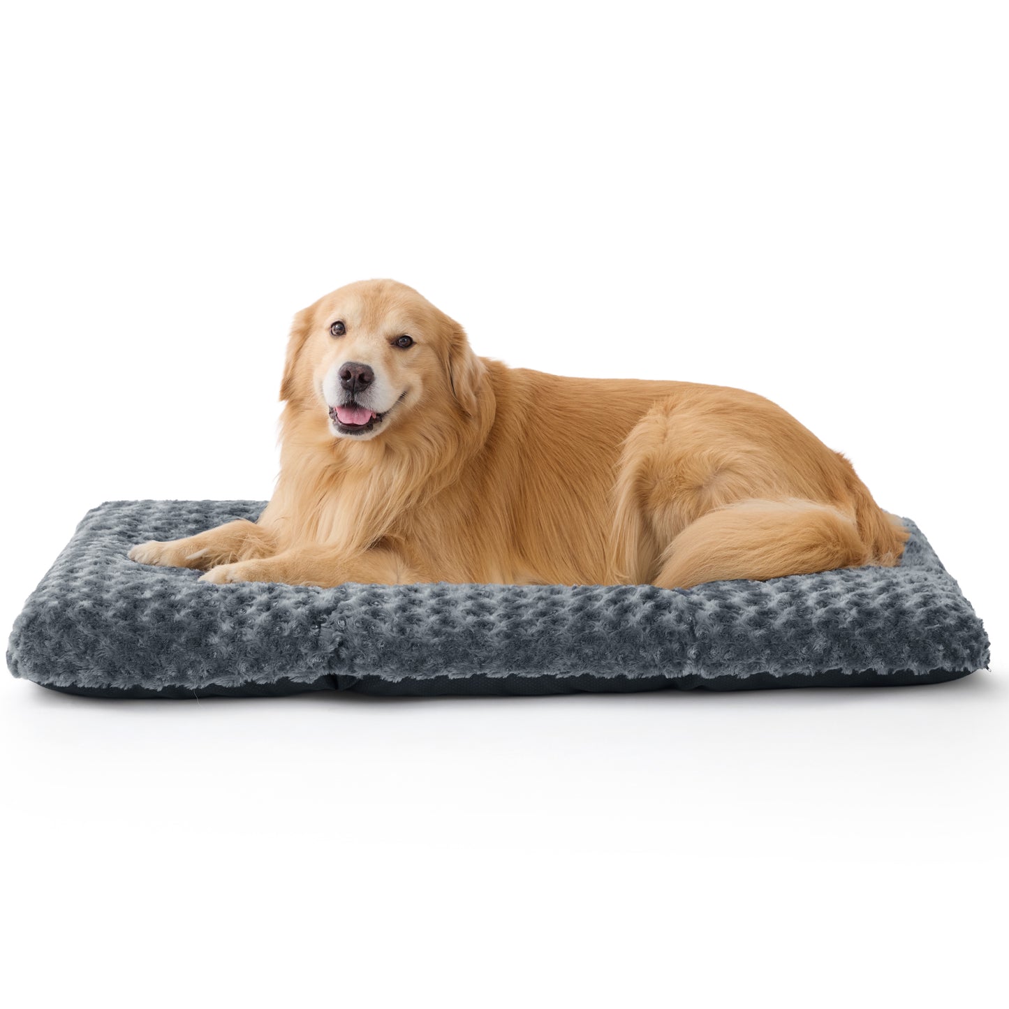 Bequeme Hundebett