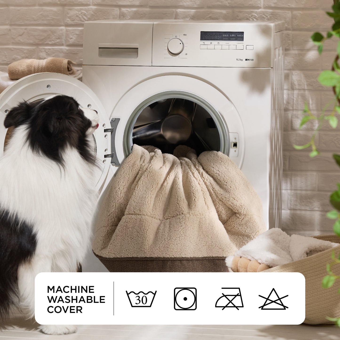 Stützende Hundecouch