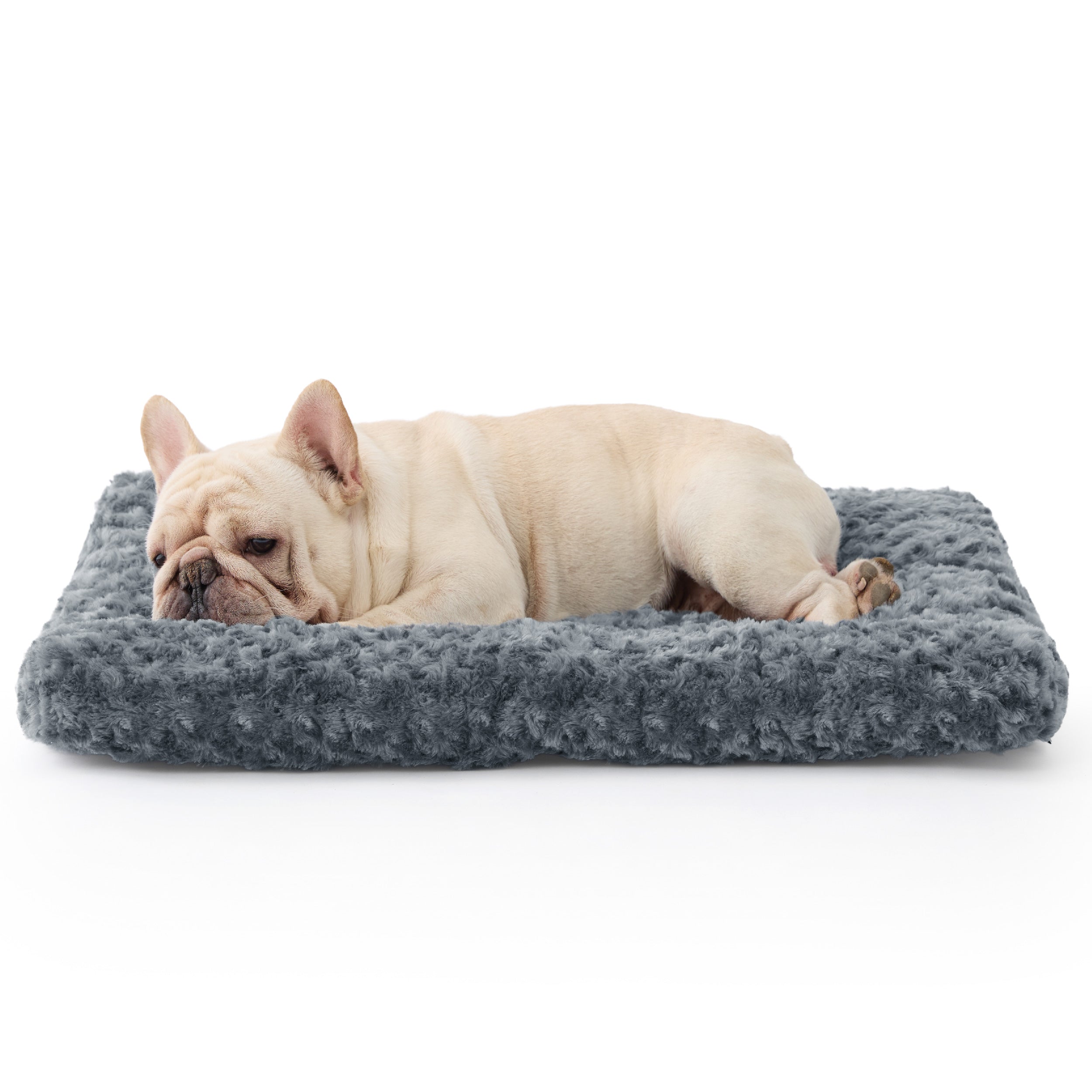 Bequeme Hundebett