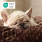 Bequeme Hundebett
