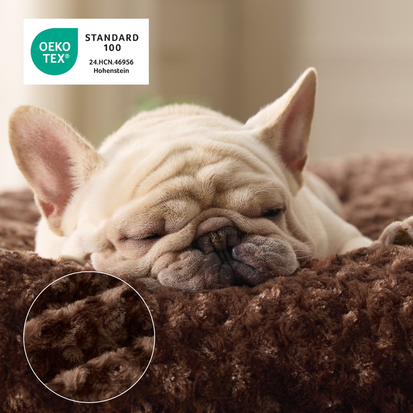 Bequeme Hundebett