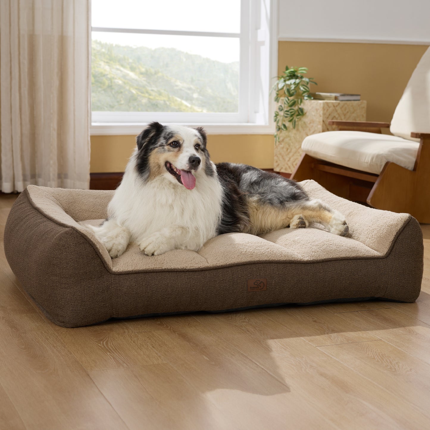 Stützende Hundecouch