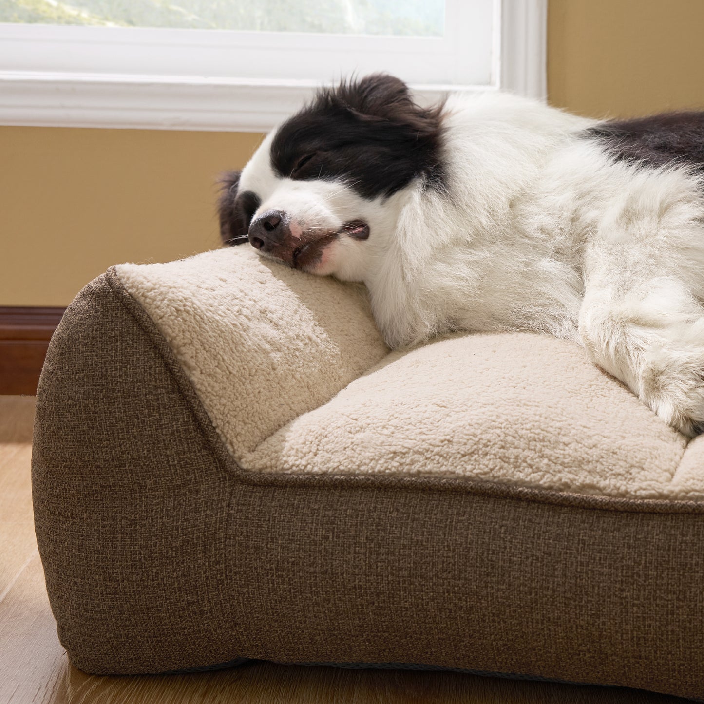 Stützende Hundecouch