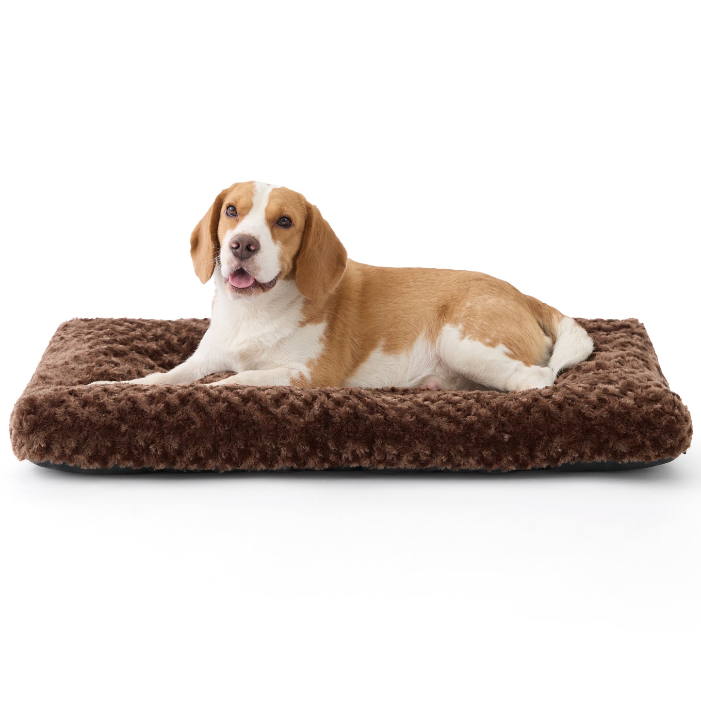 Bequeme Hundebett