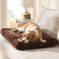 Bequeme Hundebett