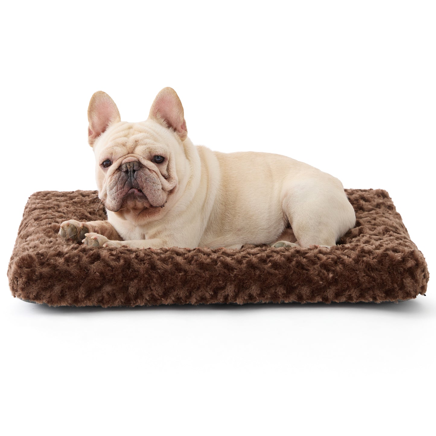 Bequeme Hundebett