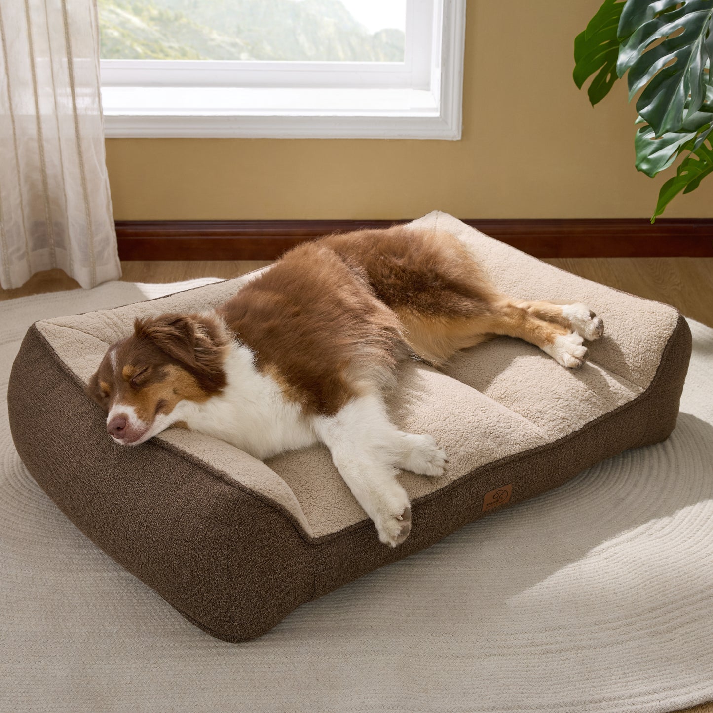 Stützende Hundecouch