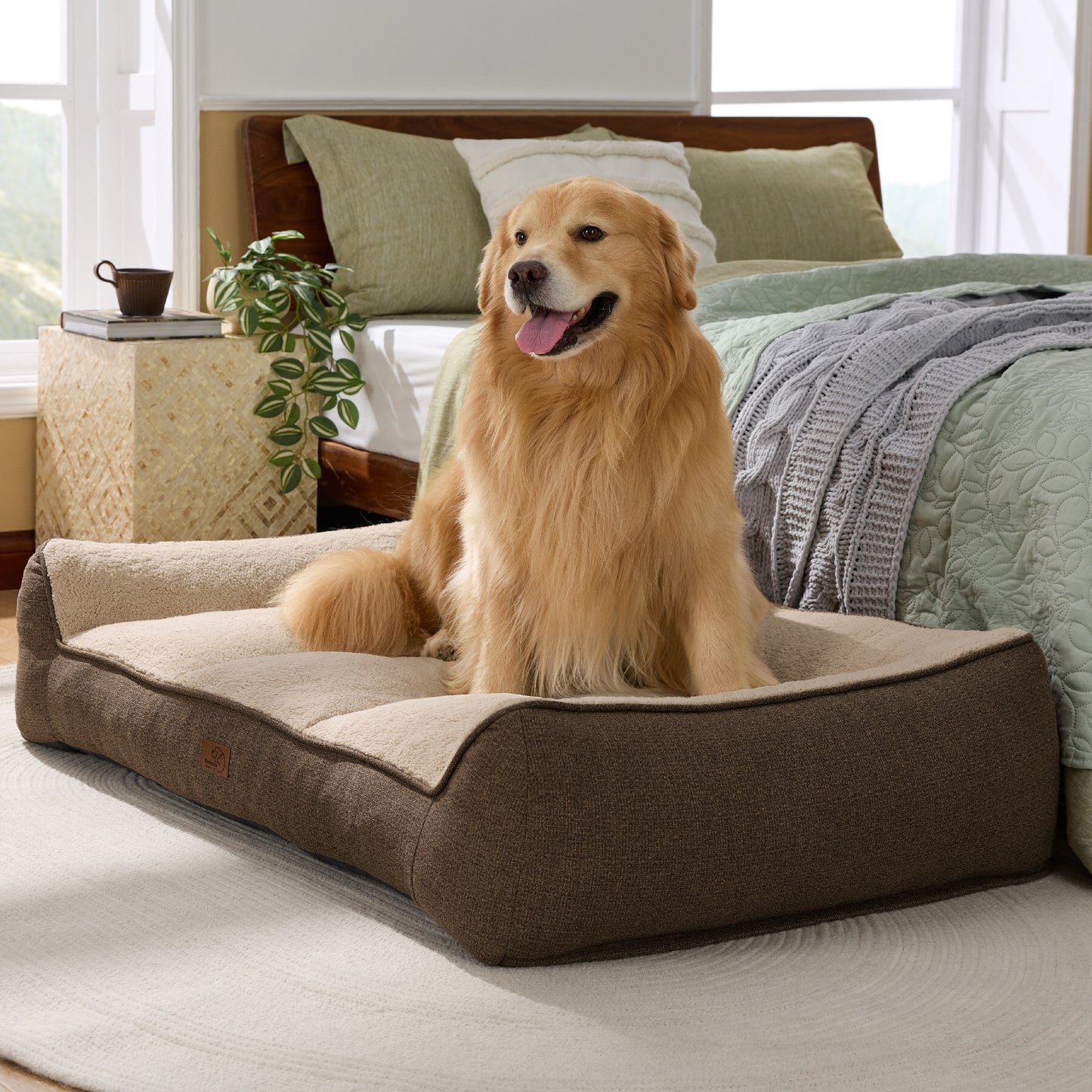 Stützende Hundecouch