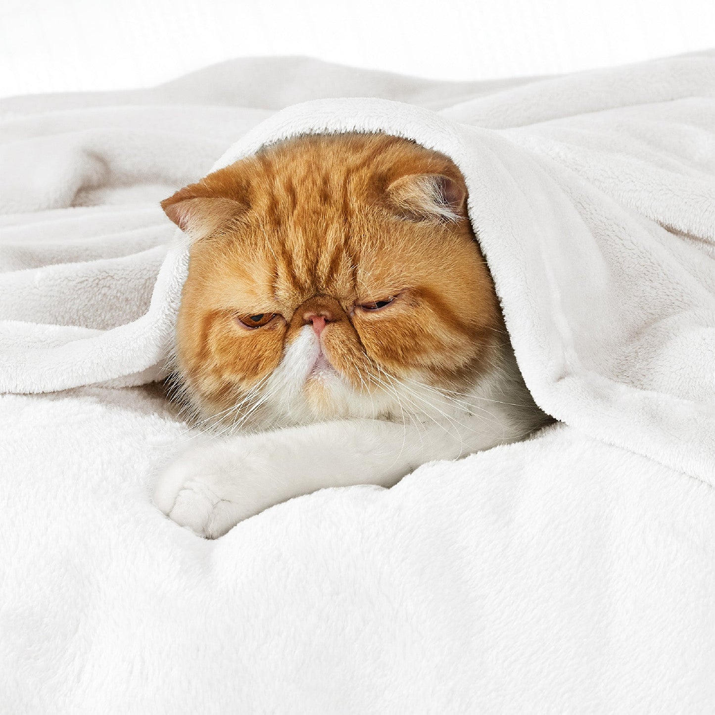 Fleece Kuscheldecke