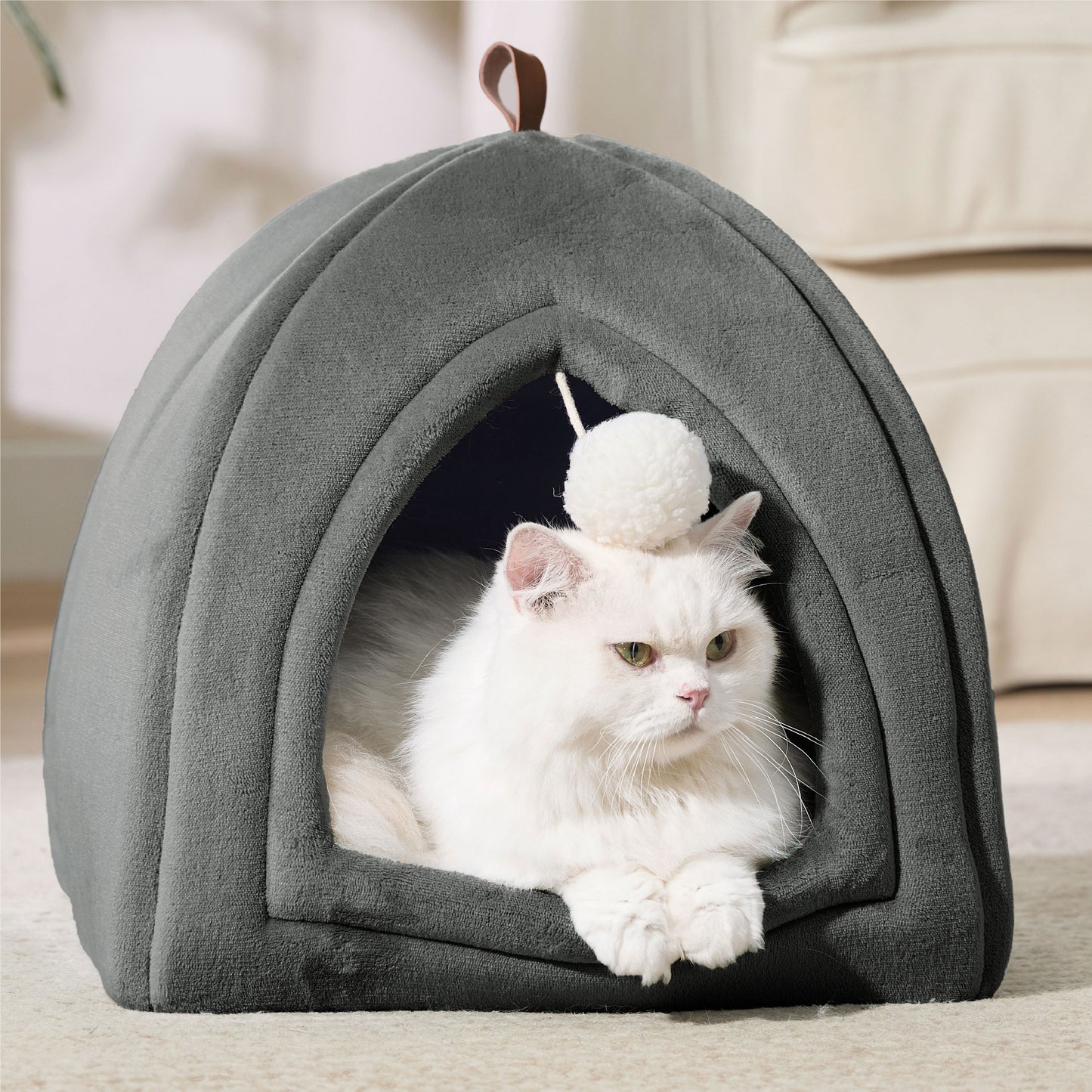 Katzenzelt