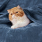 Fleece Kuscheldecke