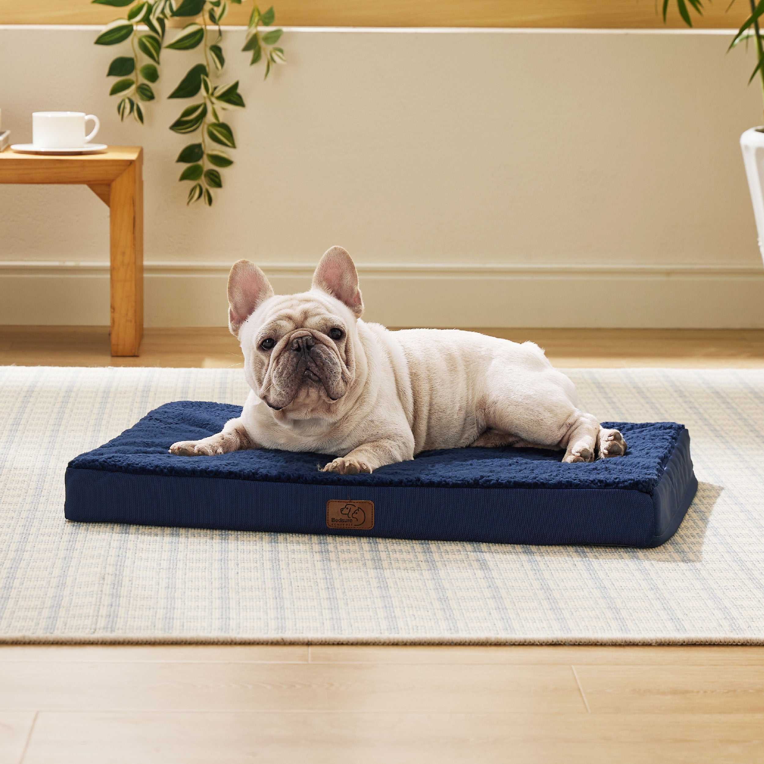 Orthopädisches Hundebett kleine Hunde