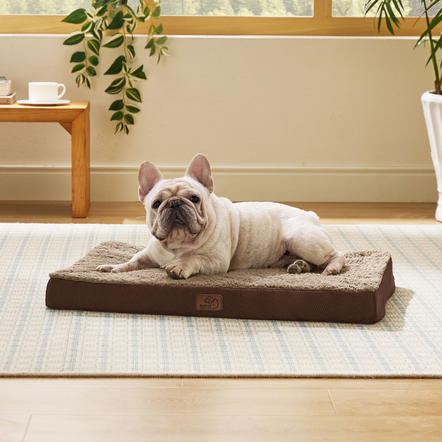 Orthopädisches Hundebett kleine Hunde