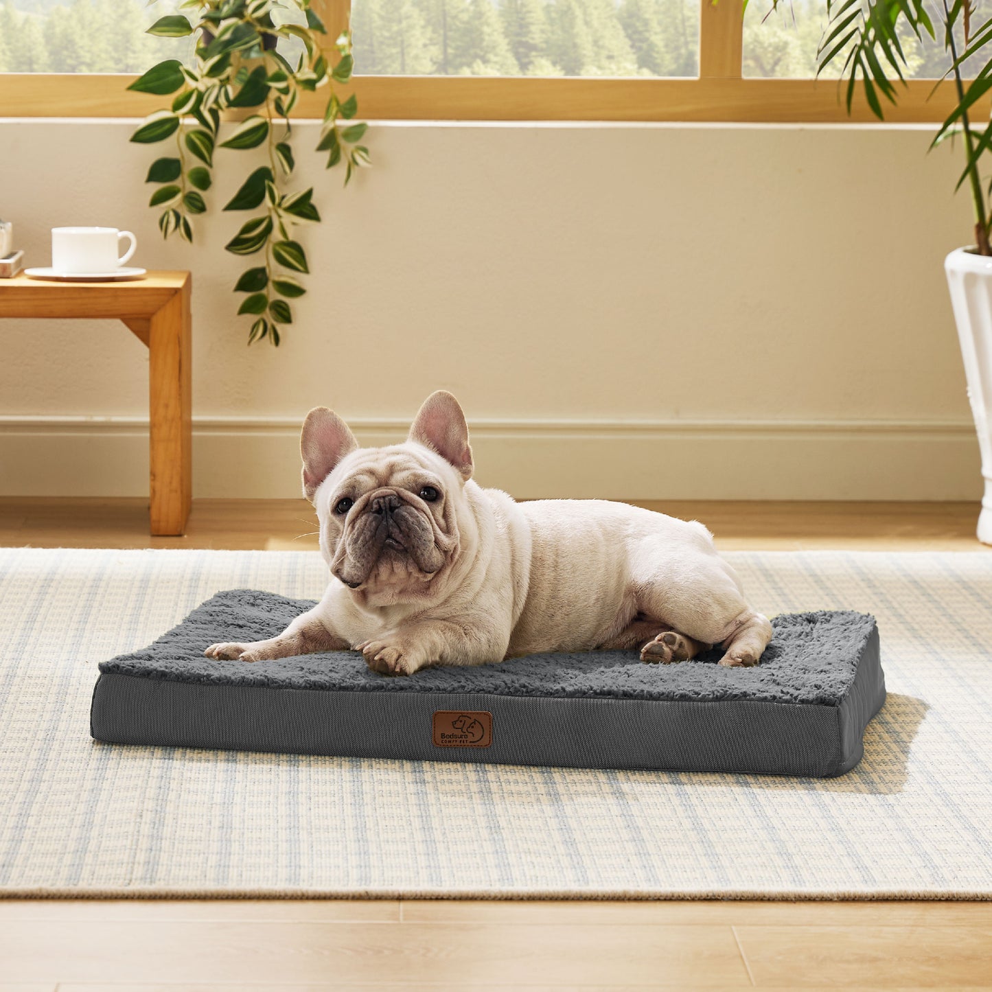 Orthopädisches Hundebett kleine Hunde