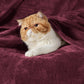 Fleece Kuscheldecke