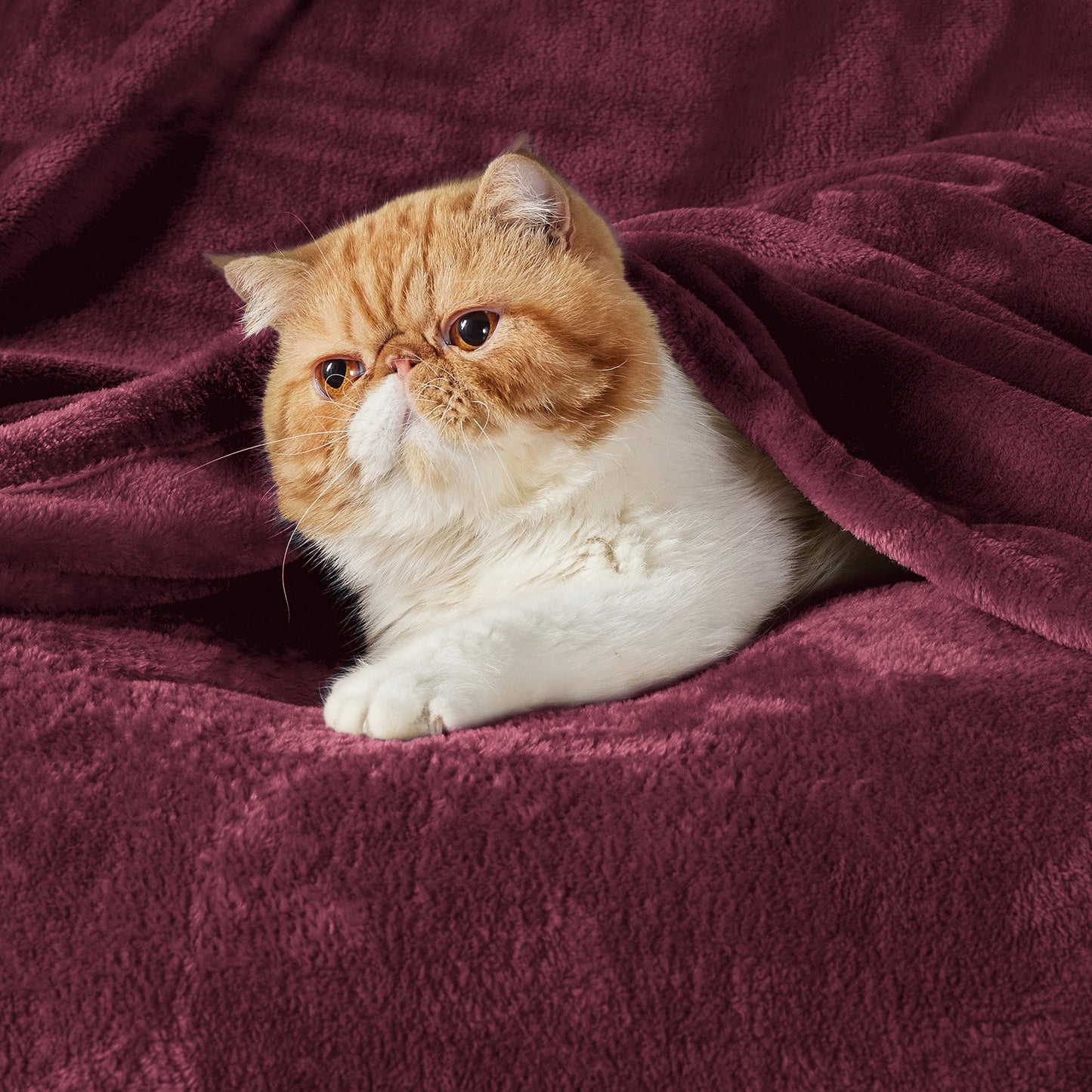Fleece Kuscheldecke