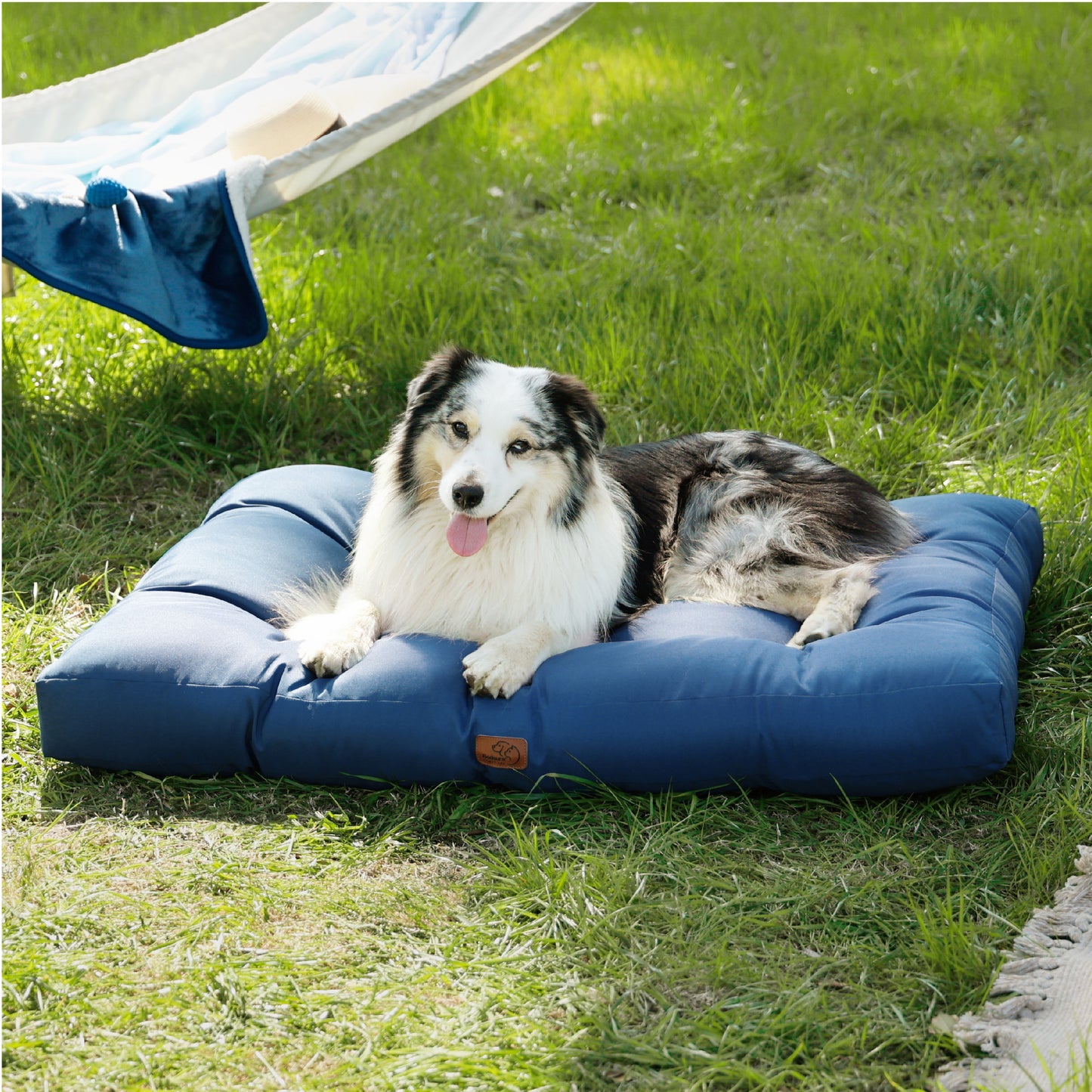 Hundebett