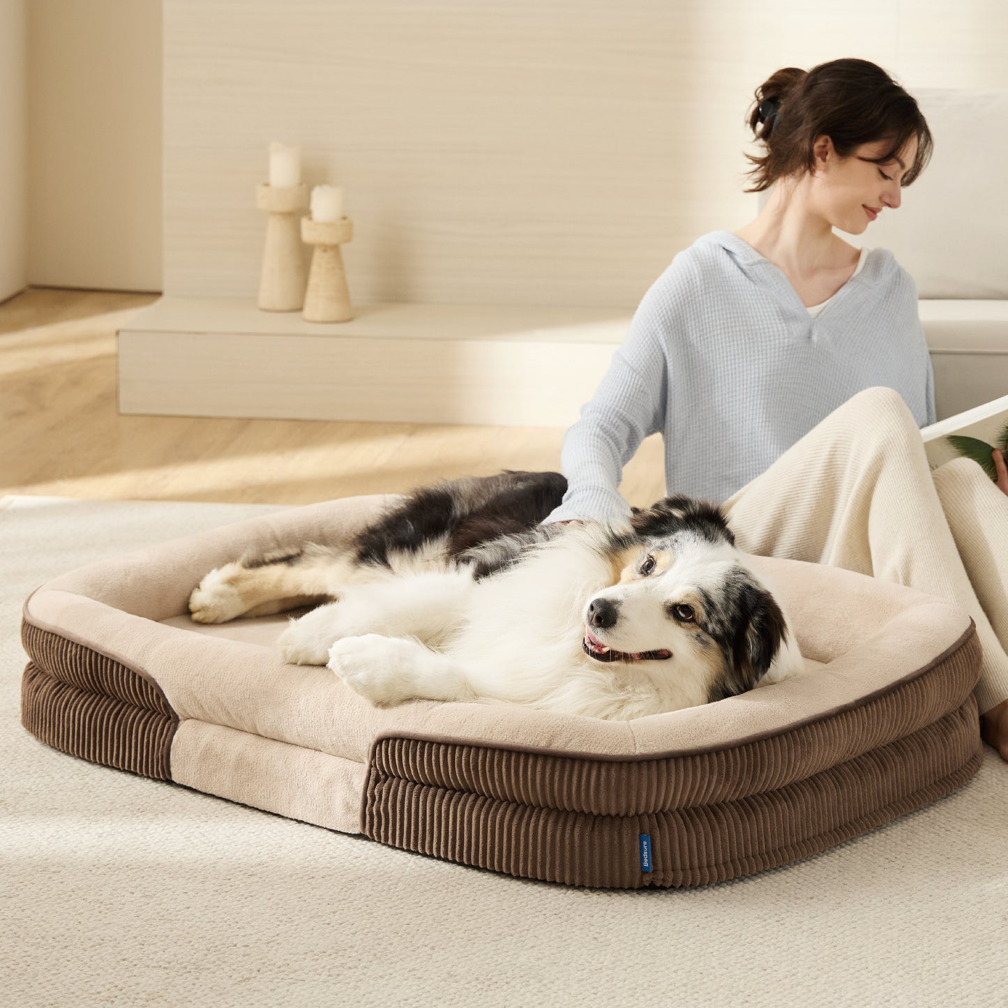 Ovales Hundekissenmit Nackenrolle