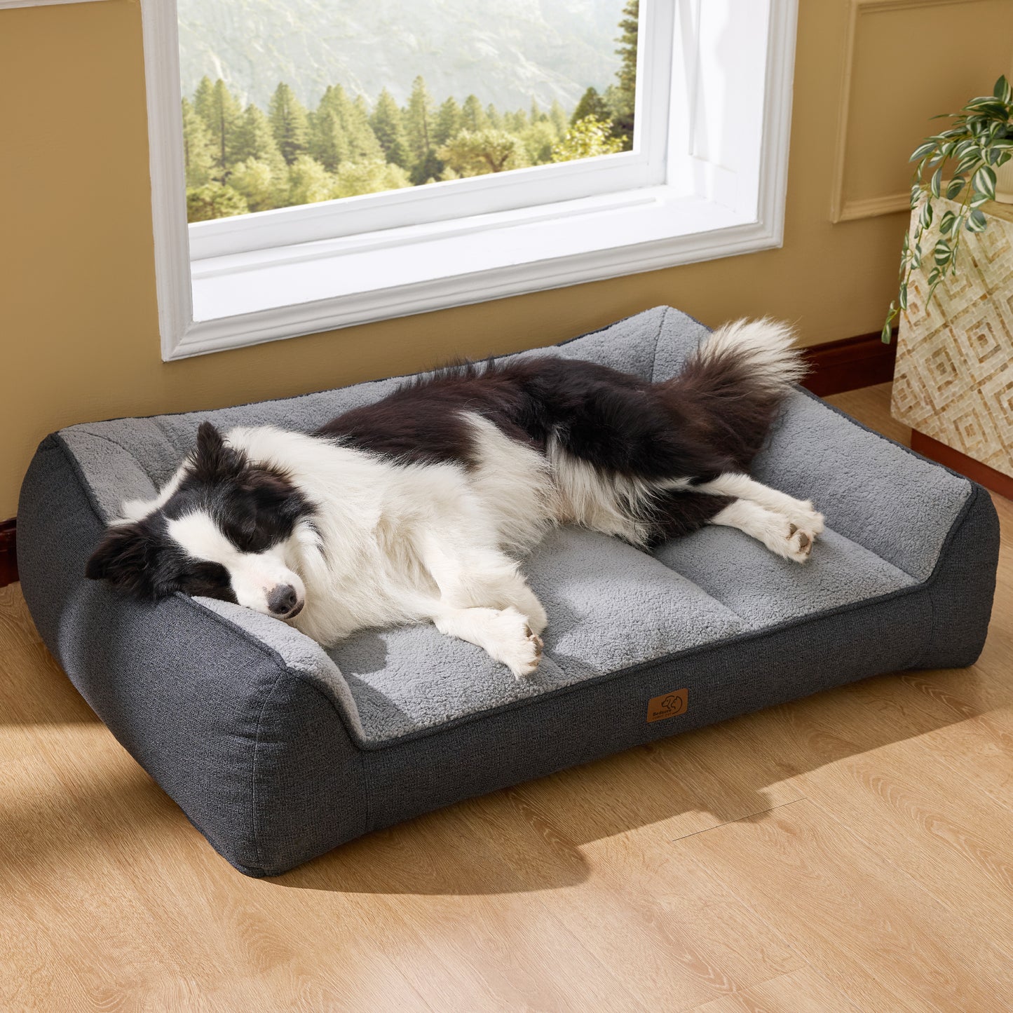 Stützende Hundecouch