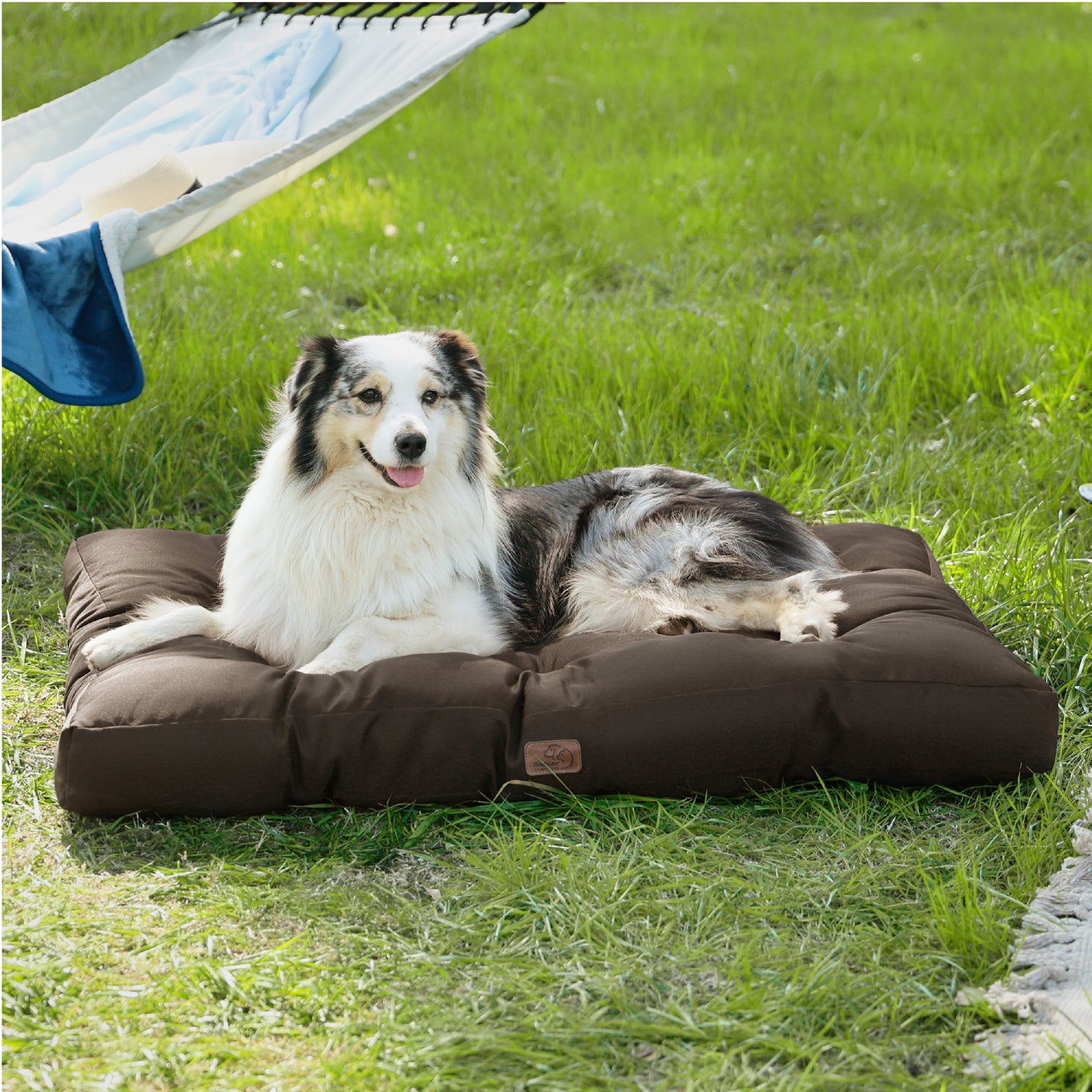 Hundebett