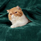 Fleece Kuscheldecke