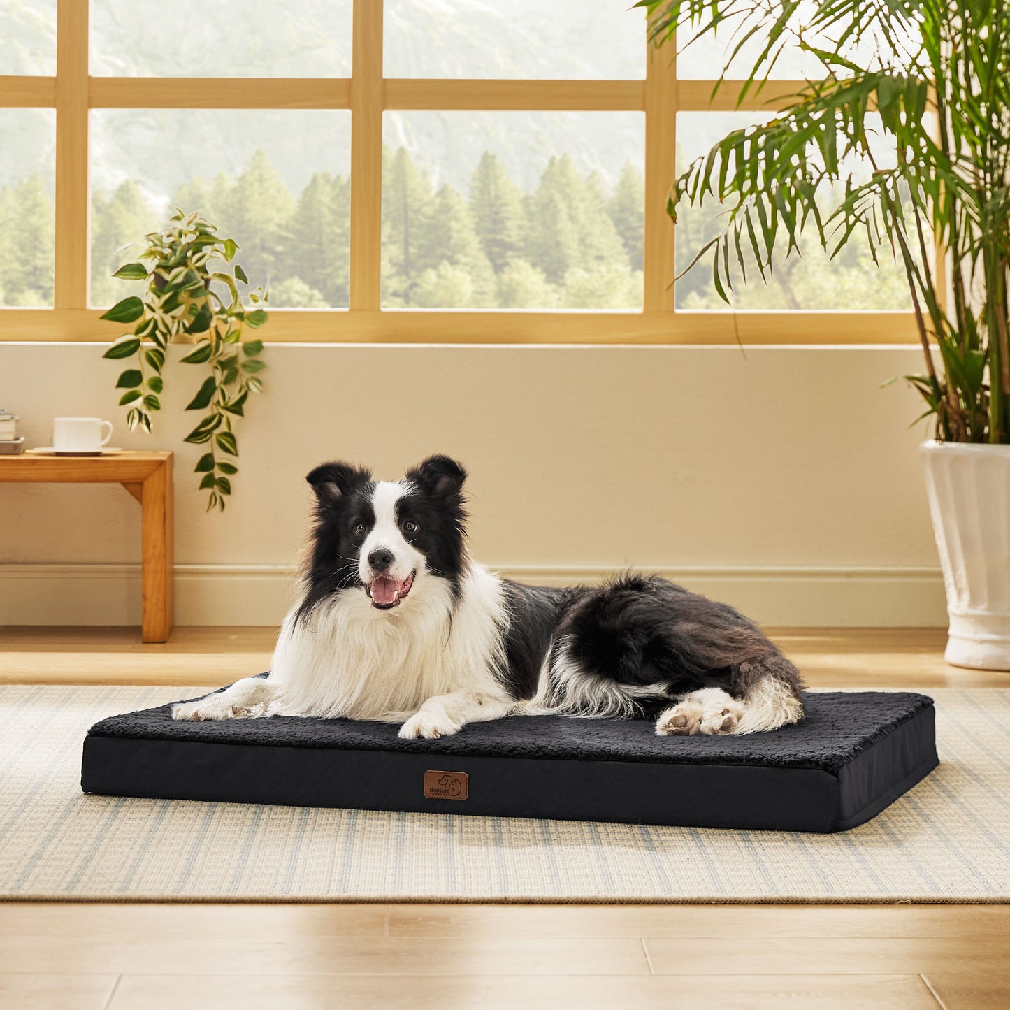 Orthopädisches Hundebett kleine Hunde