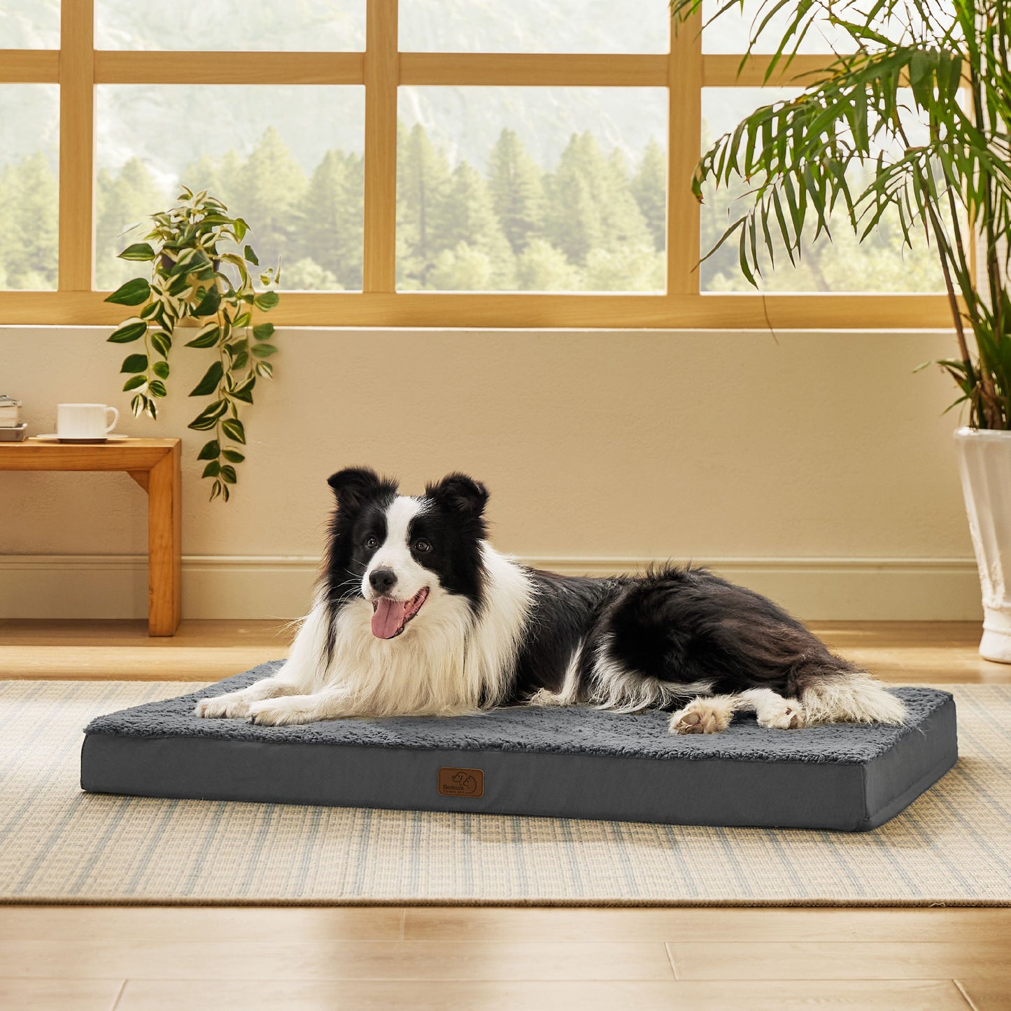 Orthopädisches Hundebett kleine Hunde