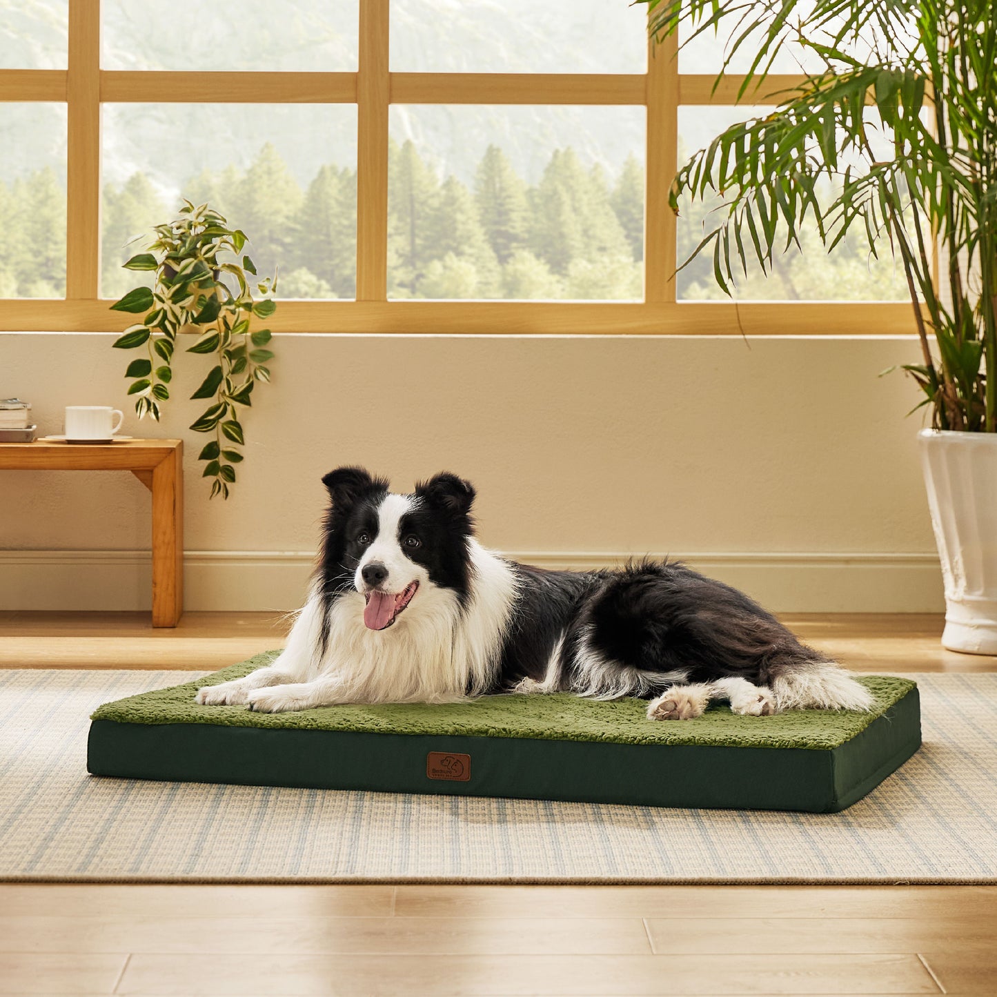 Orthopädisches Hundebett kleine Hunde