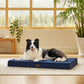 Orthopädisches Hundebett kleine Hunde