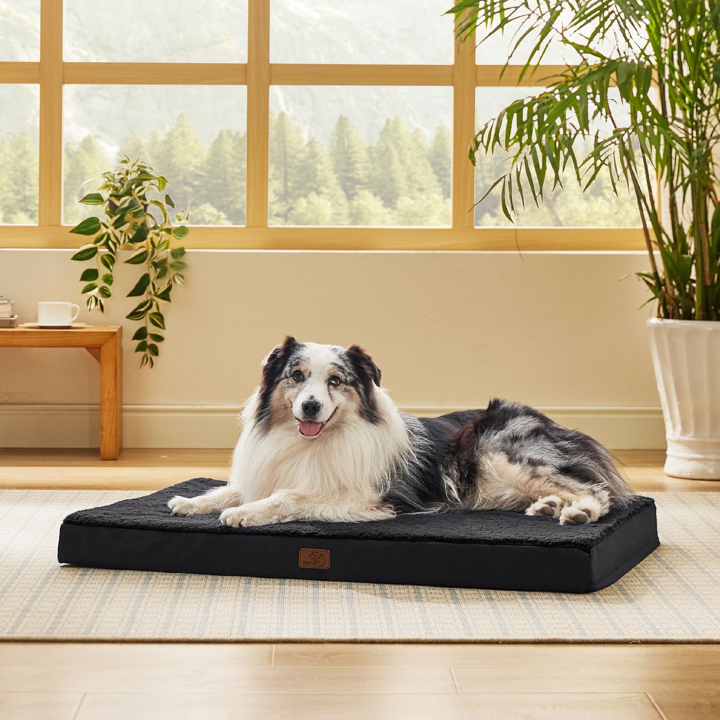 Orthopädisches Hundebett kleine Hunde