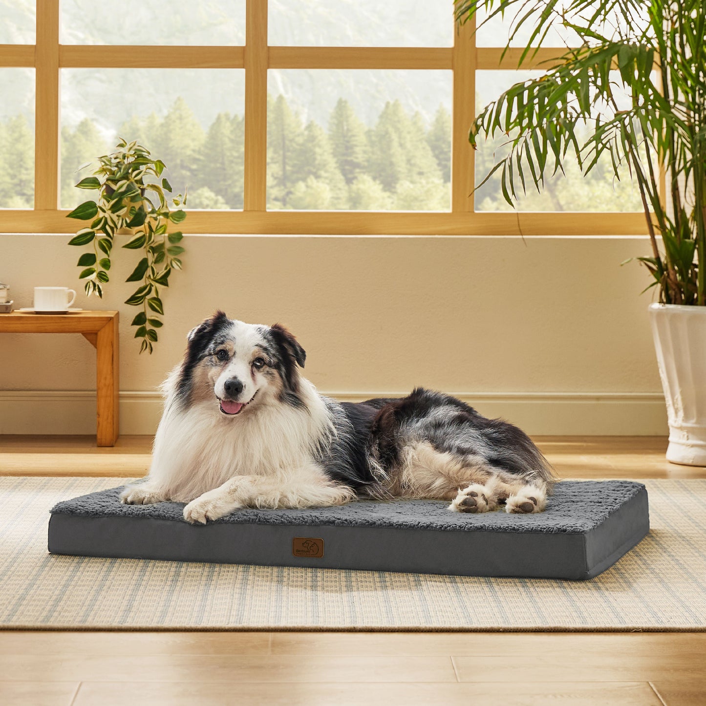 Orthopädisches Hundebett kleine Hunde