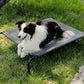 Hundeliege Outdoor
