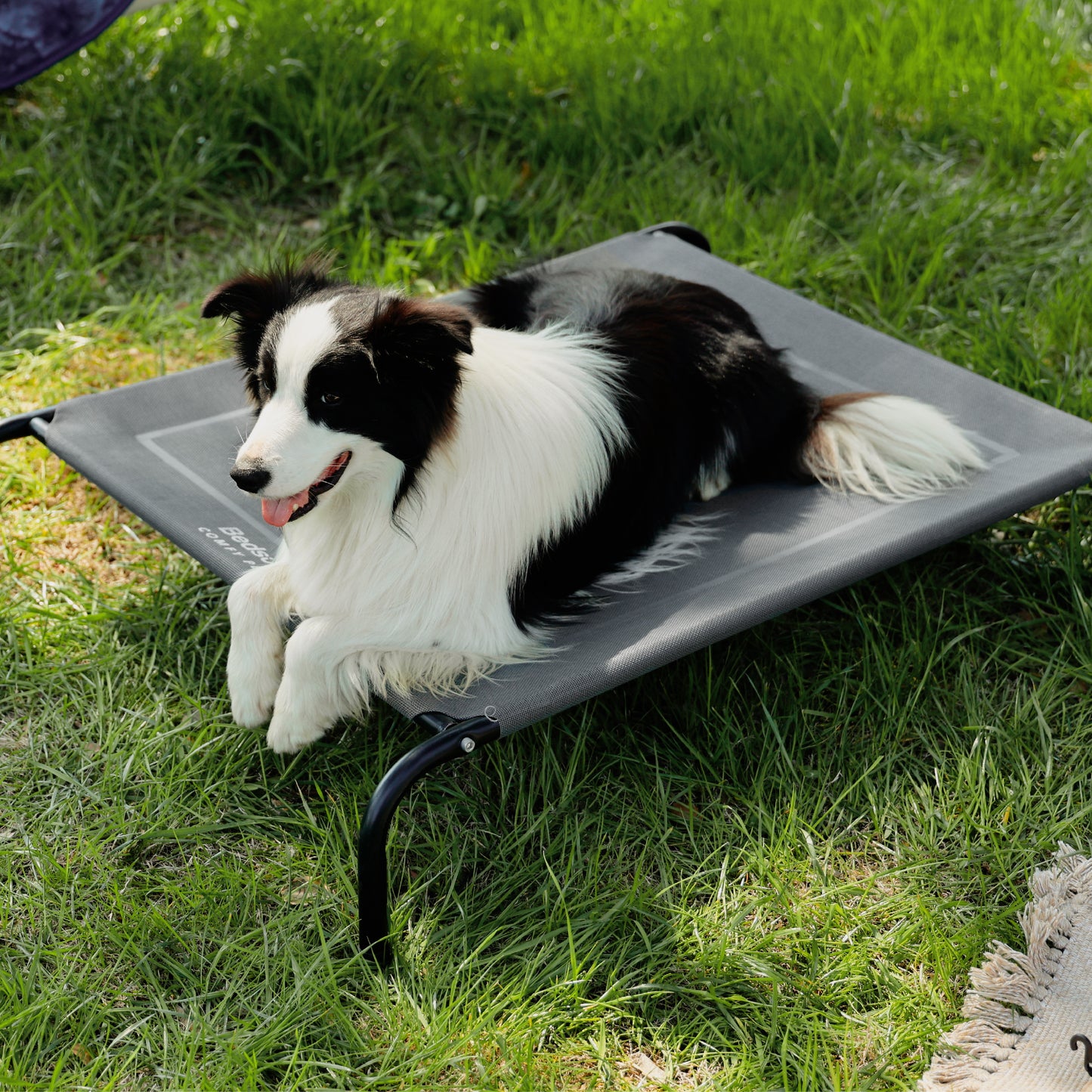 Hundeliege Outdoor