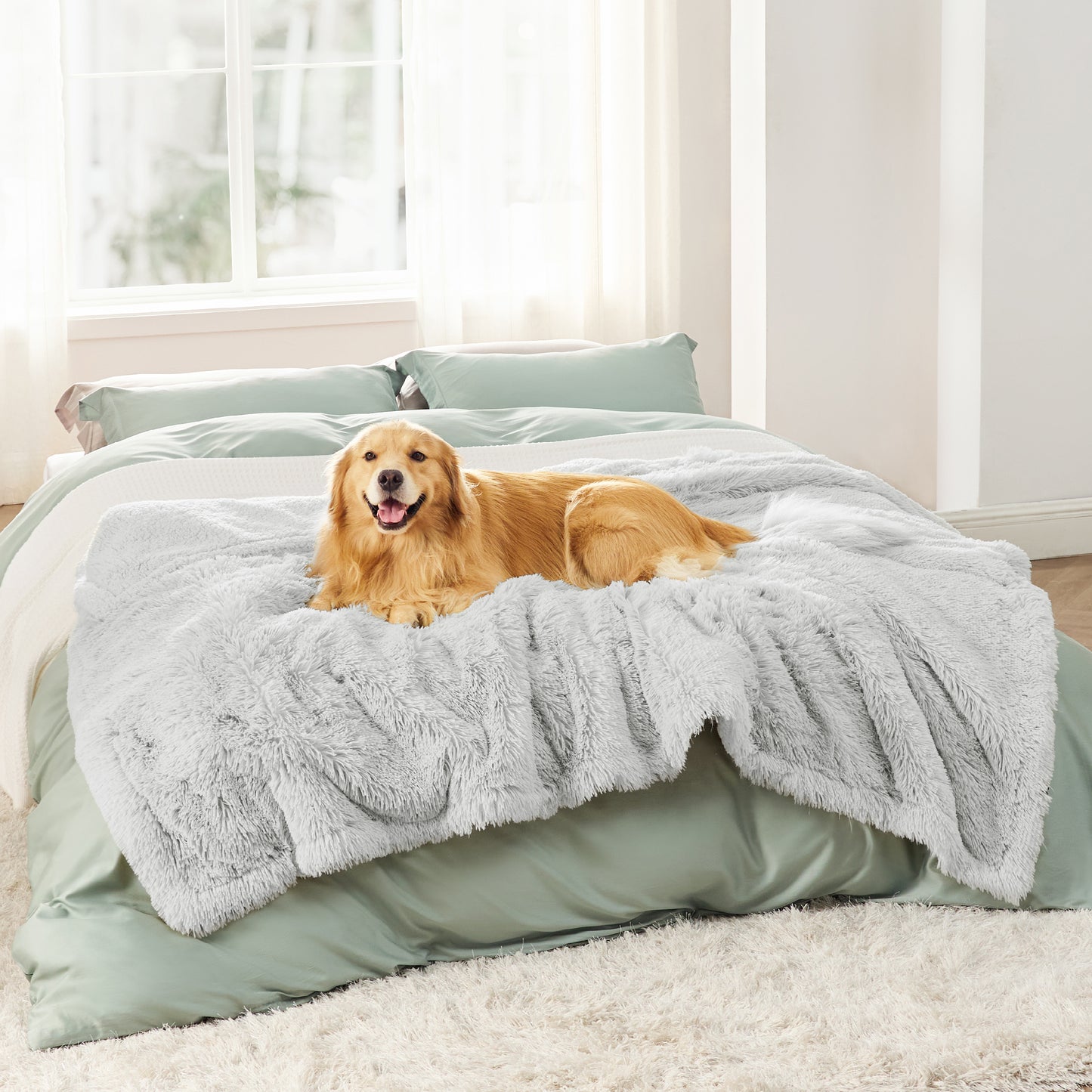 Wasserdichte Hundedecke