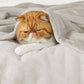 Fleece Kuscheldecke