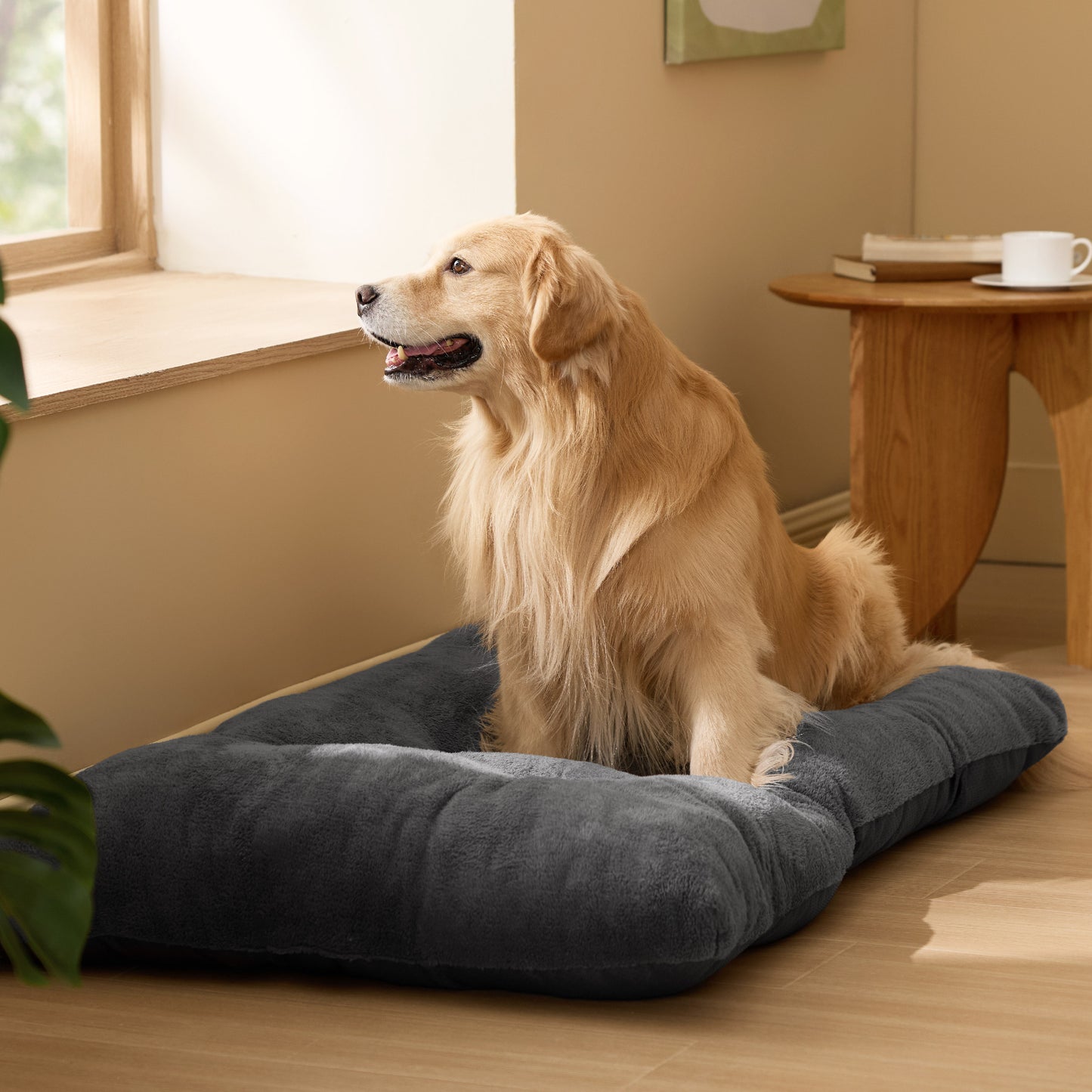 Flauschige Hundematte